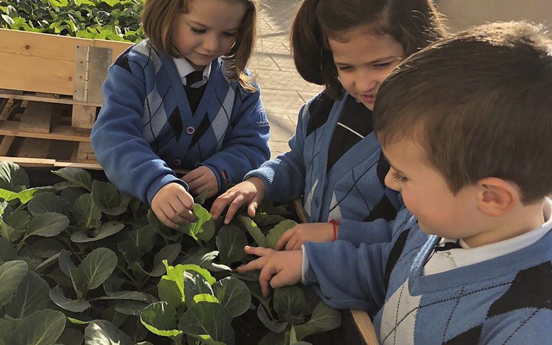 Preschool en Colegio Liceo Mediterráneo